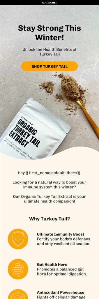 A BlackGold email designed by Engage Commerce, an organic turkey tail extract pouch on stone with a single shop button