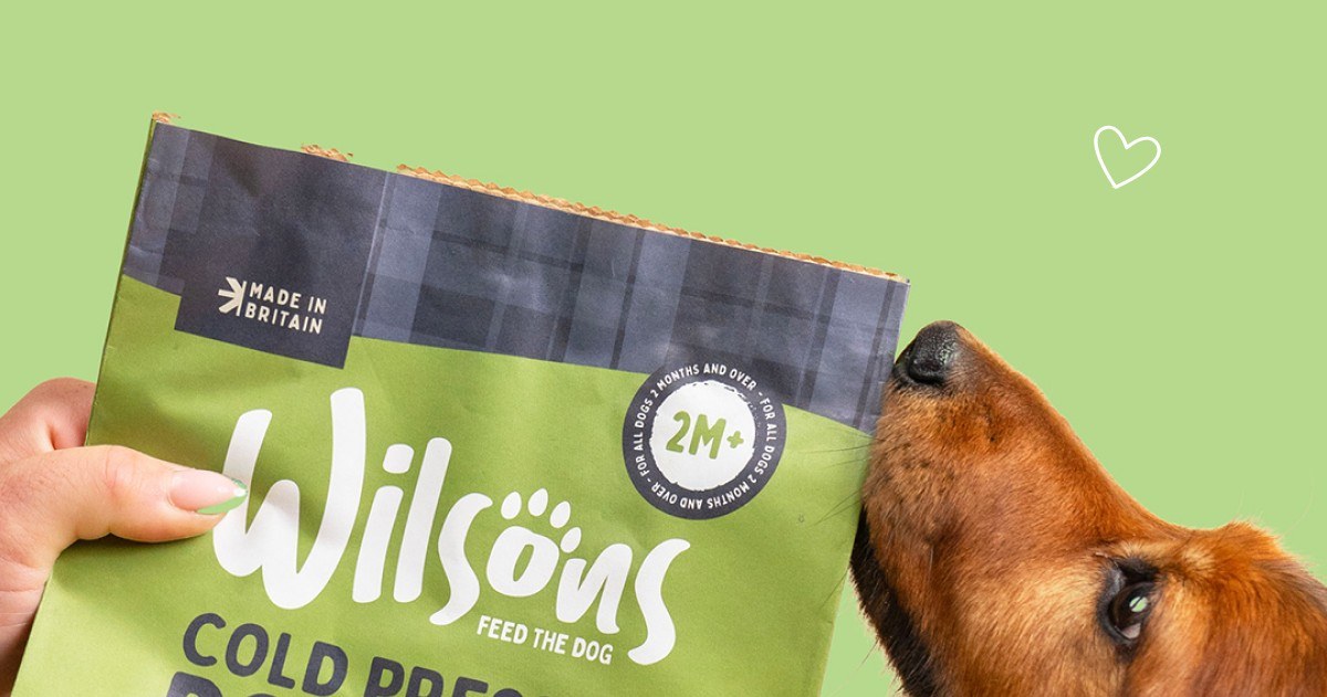 A hand holding a Wilsons cold pressed dog food bag on a green ground with a dachshund reaching up to it