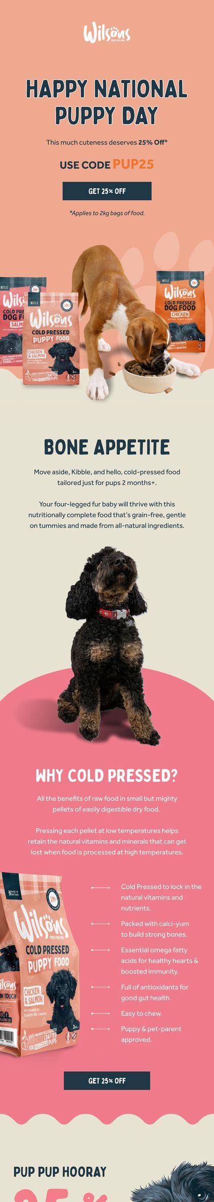 A Wilsons campaign email for National Puppy Day